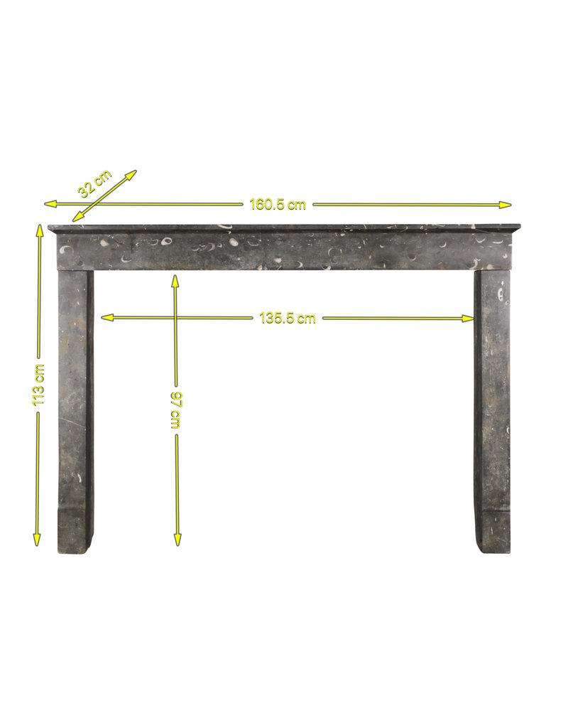 17Th Century Period Timeless Chic Fossil Marble Stone Fireplace Surround