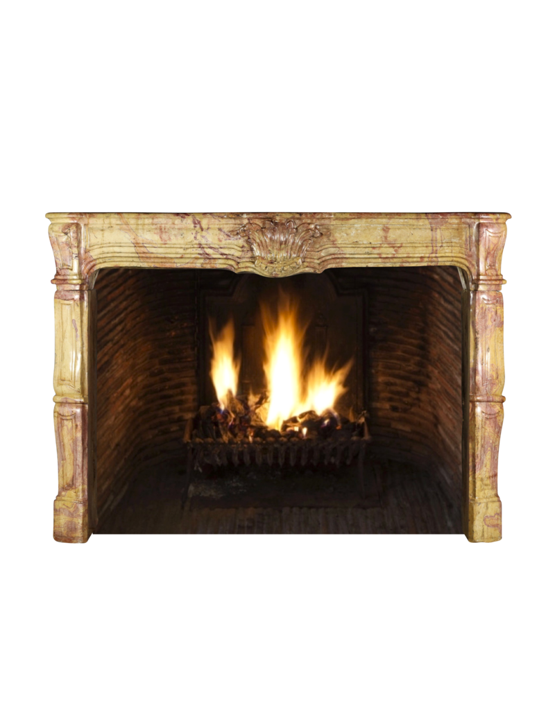 Maison Leon Van den Bogaert Kaminumrandung aus dem 17. Jahrhundert aus der Louis-XIV-Zeit