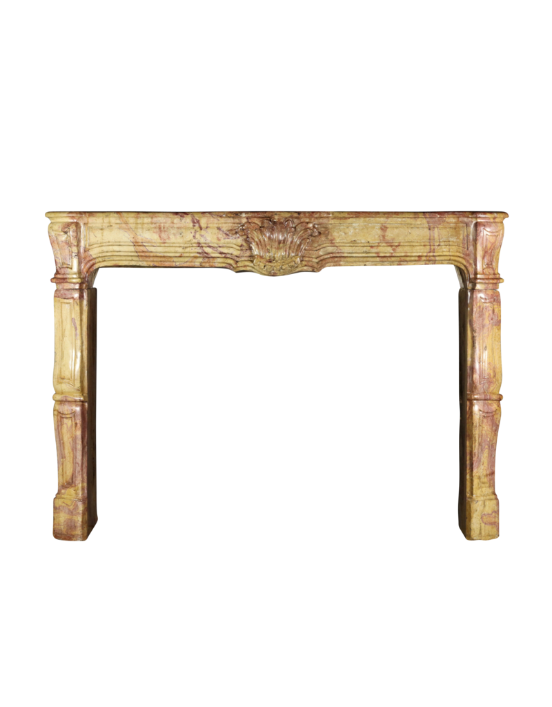 Maison Leon Van den Bogaert Kaminumrandung aus dem 17. Jahrhundert aus der Louis-XIV-Zeit