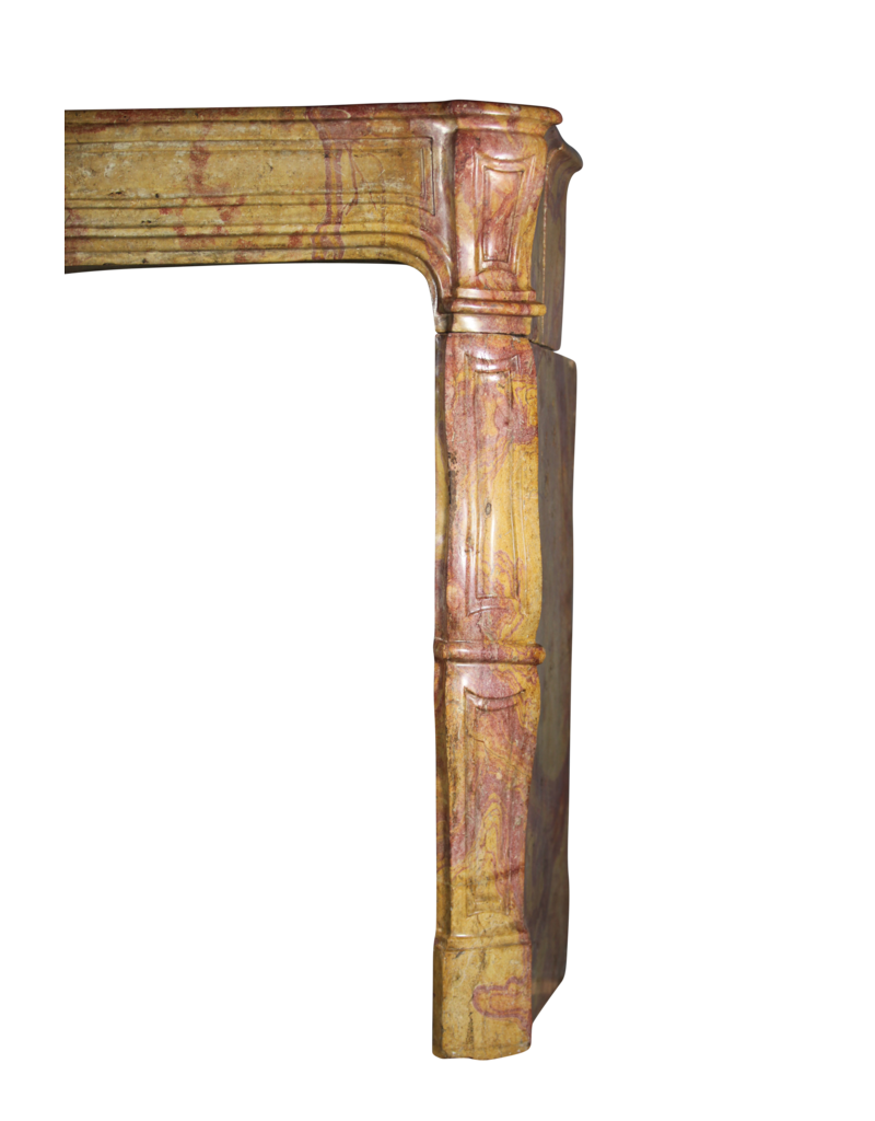 Maison Leon Van den Bogaert Kaminumrandung aus dem 17. Jahrhundert aus der Louis-XIV-Zeit