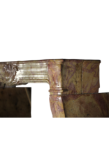 Maison Leon Van den Bogaert Kaminumrandung aus dem 17. Jahrhundert aus der Louis-XIV-Zeit