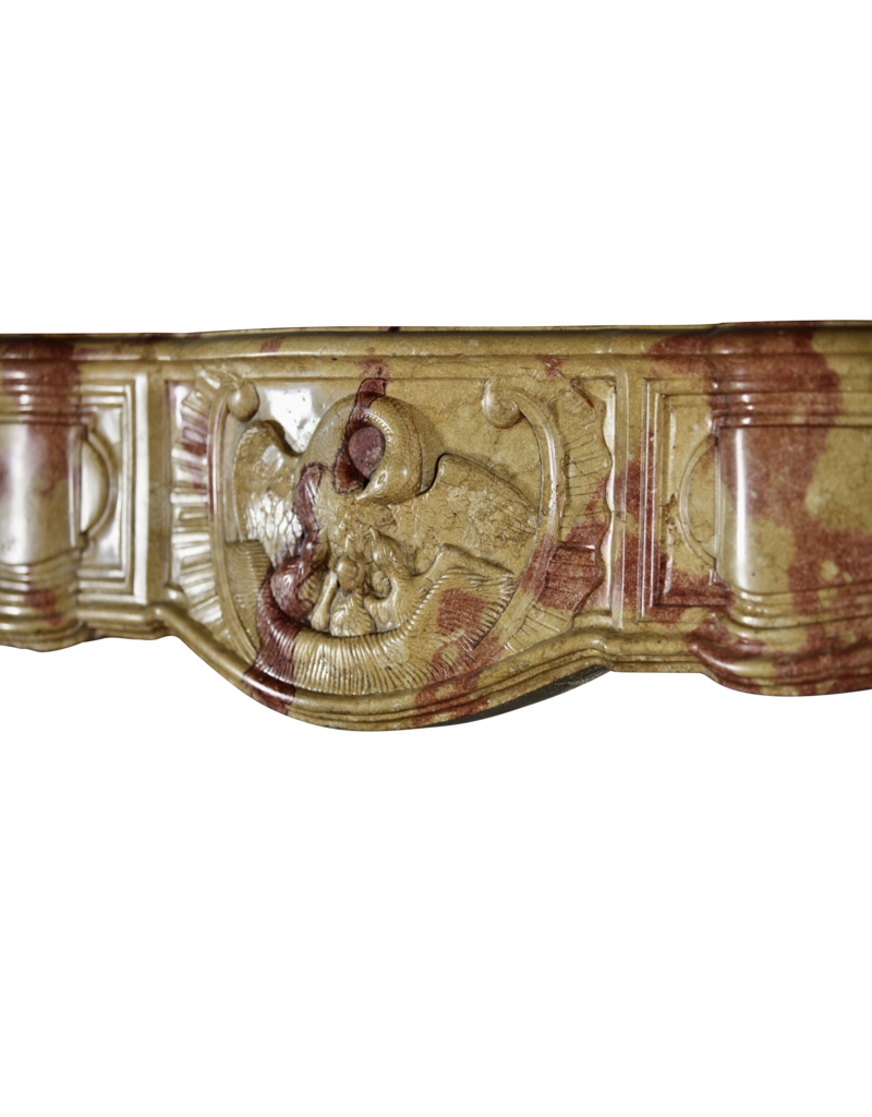 Maison Leon Van den Bogaert Außergewöhnliche französische Kaminumrandung aus zweifarbigem Stein
