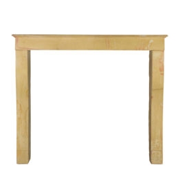 Maison Leon Van den Bogaert Bicolor Antique Fireplace Surround