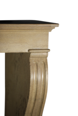 Louis Philippe Period Fireplace Surround