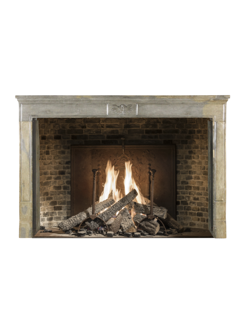 French Reclaimed Fireplace Surround In Bicolor Hard Stone