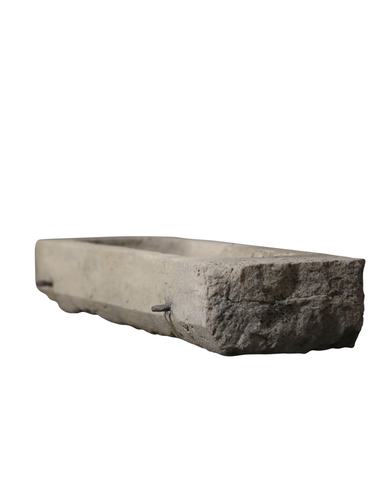 Trough Fragment In Limestone