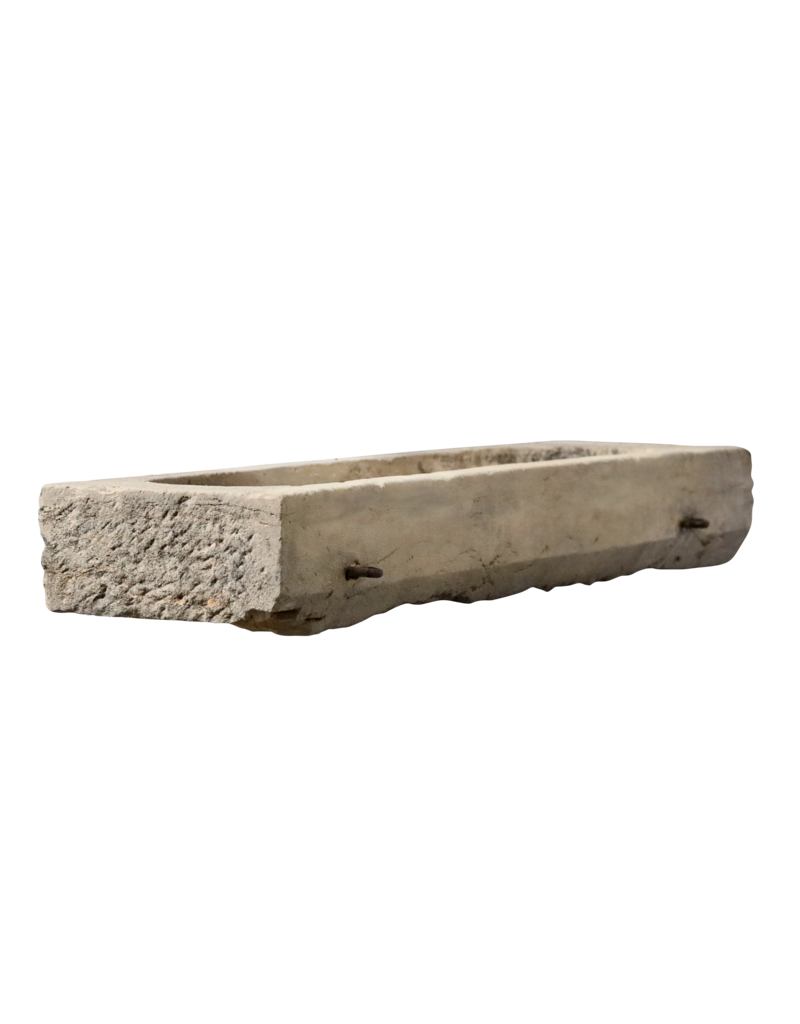 Trough Fragment In Limestone