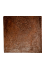 Maison Leon Van den Bogaert Placa De Hierro Fundido Antiguo Encerado Para Chimenea