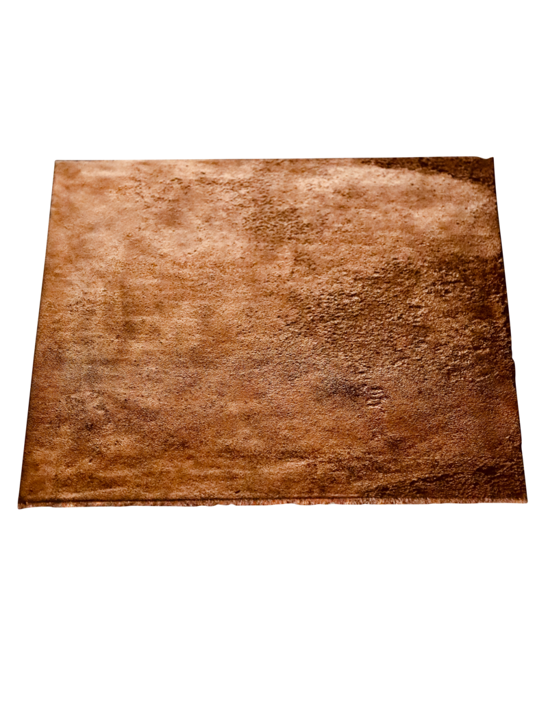 Maison Leon Van den Bogaert Waxed Antique Cast Iron Fireplace Plate
