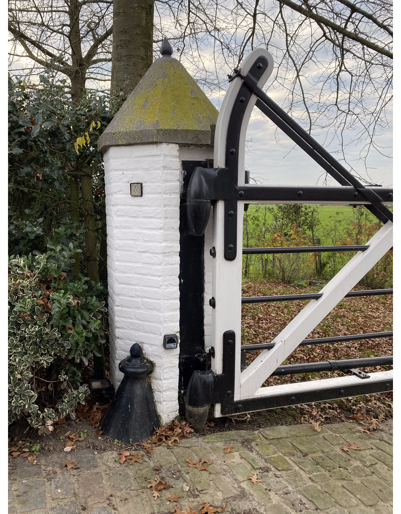 Maison Leon Van den Bogaert Poort Dommeriken In Gietijzer
