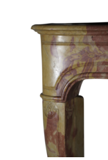 Maison Leon Van den Bogaert Französische Kaminumrandung aus zweifarbigem Stein im Louis-XIV-Stil