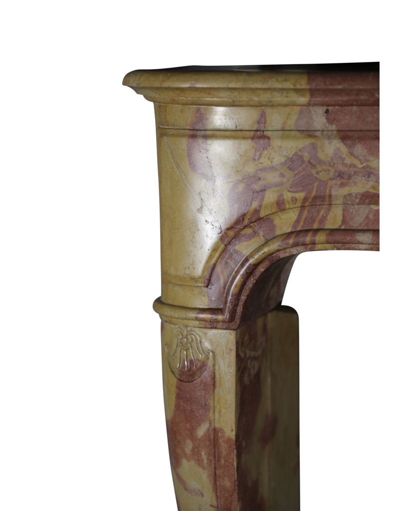 Maison Leon Van den Bogaert Französische Kaminumrandung aus zweifarbigem Stein im Louis-XIV-Stil