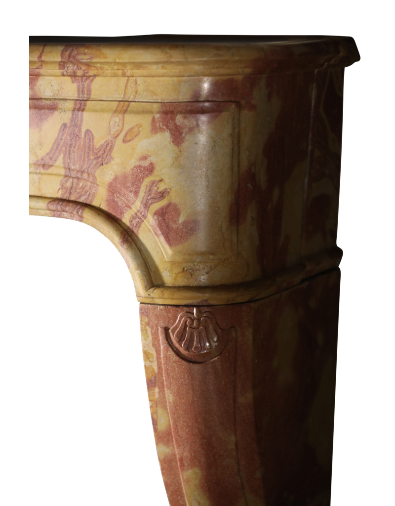 Maison Leon Van den Bogaert Französische Kaminumrandung aus zweifarbigem Stein im Louis-XIV-Stil