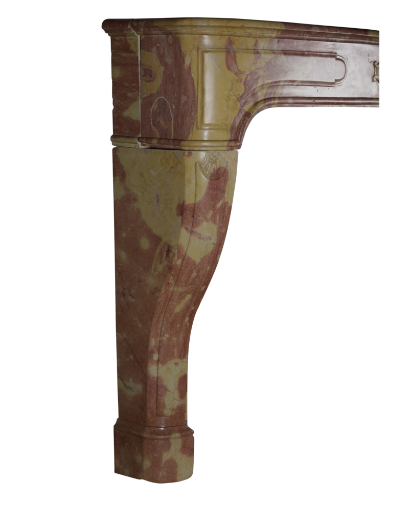 Maison Leon Van den Bogaert Französische Kaminumrandung aus zweifarbigem Stein im Louis-XIV-Stil