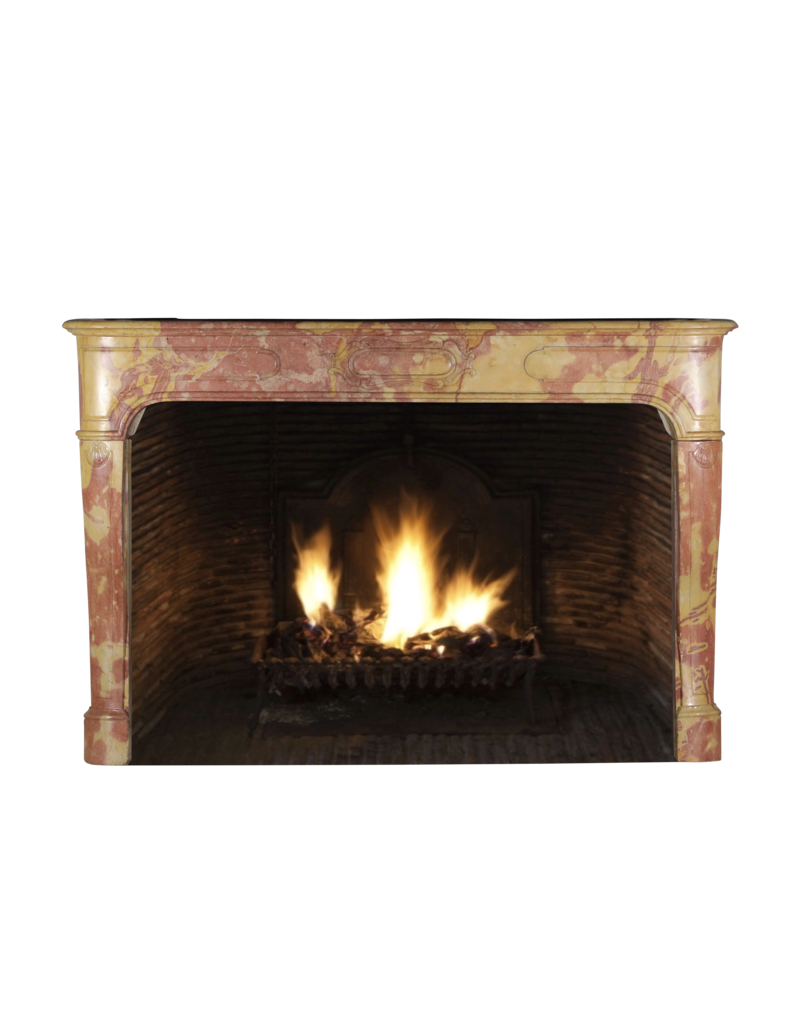 Louis XIV French Bicolor Stone Fireplace Surround