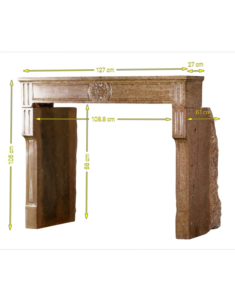 Maison Leon Van den Bogaert Elegante Kaminumrandung aus dem 18. Jahrhundert