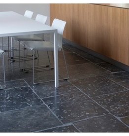 French Fossil Stone Ancient Surfaces