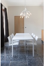 Blauw Grijze Stenen Vloeren Met Fossielen Schelpen