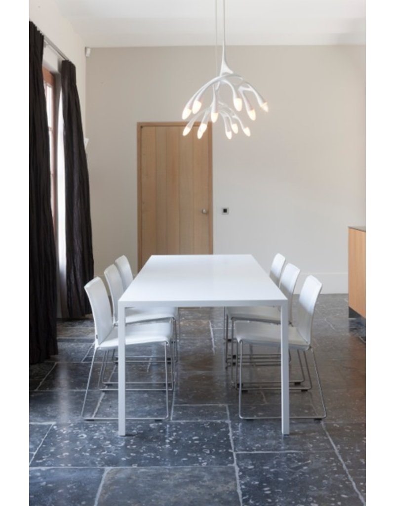Blauw Grijze Stenen Vloeren Met Fossielen Schelpen