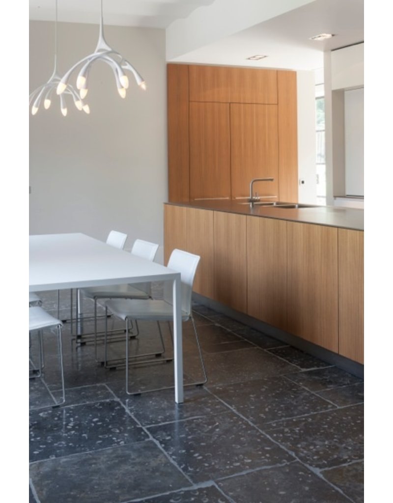 Maison Leon Van den Bogaert Französischer Fossilsteinboden