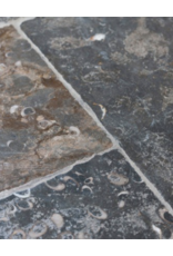 Maison Leon Van den Bogaert Französischer Fossilsteinboden