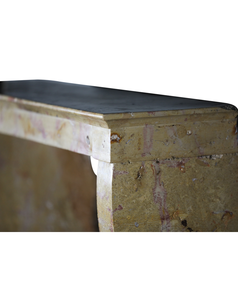 Maison Leon Van den Bogaert Bicolor Stone Vintage Kamin