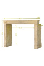 Rustic Classic Louis XVI Limestone Fireplace Surround