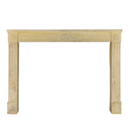 Rustic Classic Louis XVI Fireplace Surround