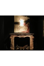 Maison Leon Van den Bogaert Monumentale antike französische Kaminumrandung