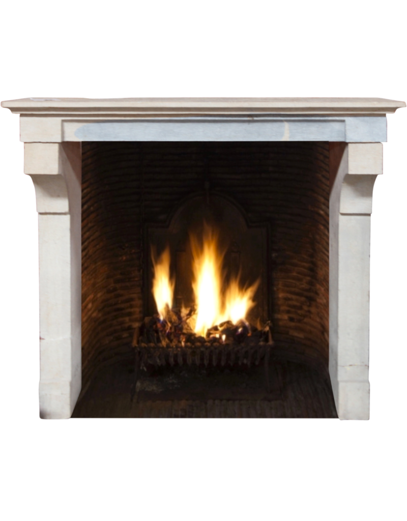 French Vintage Bicolor Limestone Fireplace Surround