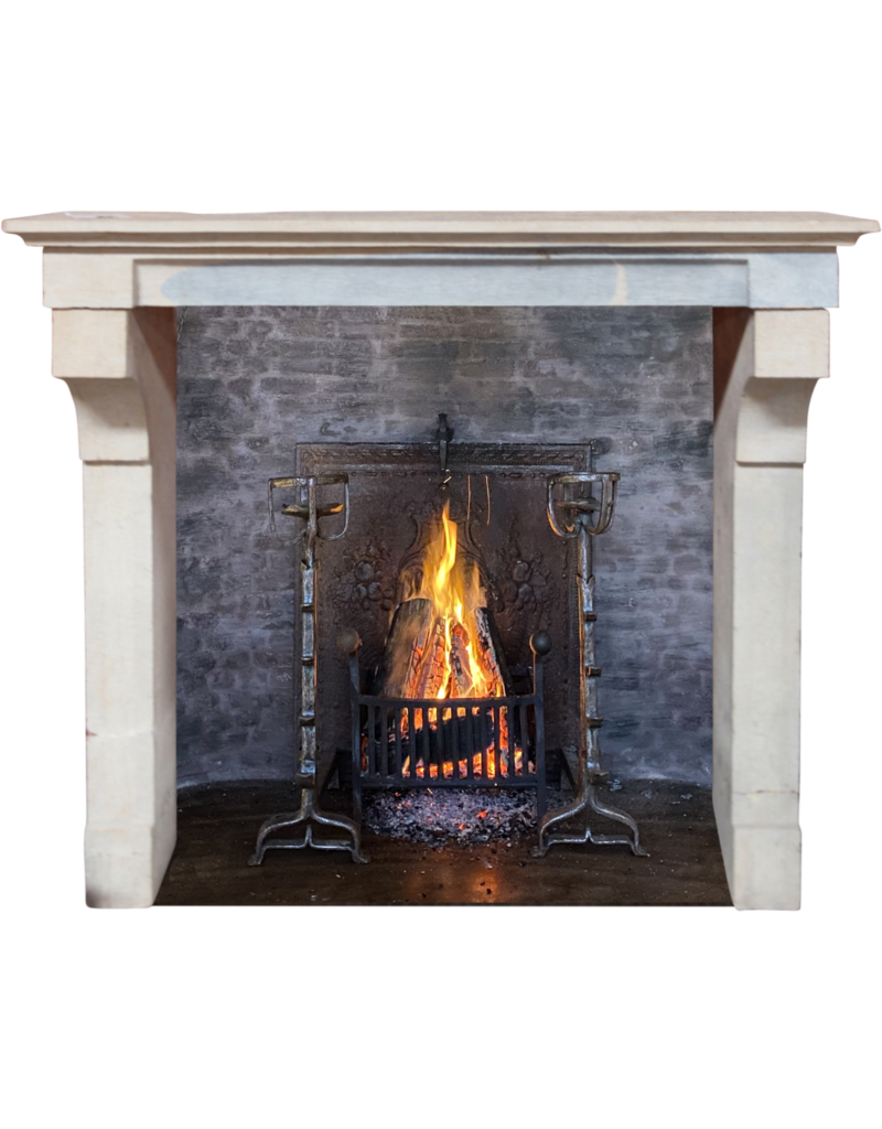 French Vintage Bicolor Limestone Fireplace Surround