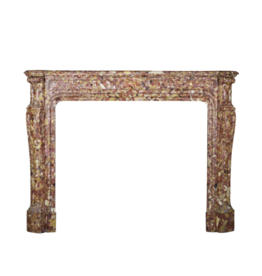 Maison Leon Van den Bogaert Elegante Französisch Antike Kamin Verkleidung