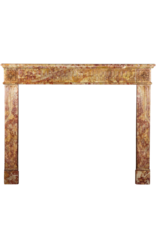 Rich French LXVI Style Fireplace Surround