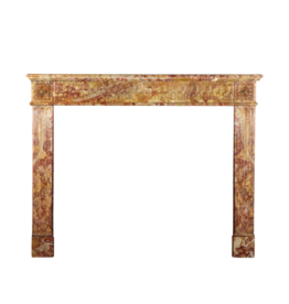 Rich Marble French LXVI Style Fireplace Surround