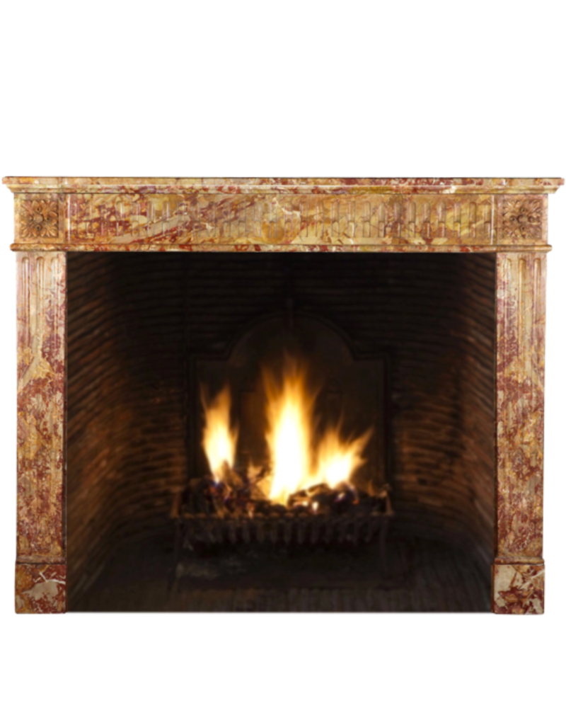 Maison Leon Van den Bogaert Reich verzierte französische Louis-XVI-Kaminumrandung