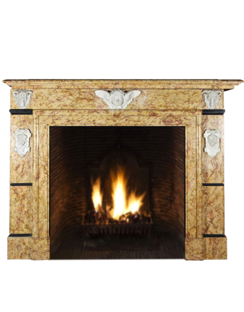 Maison Leon Van den Bogaert Klassische belgische Vintage-Kaminumrandung aus Marmor