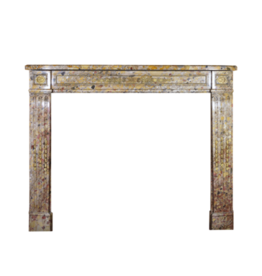 Maison Leon Van den Bogaert French Chique Louis XVI Period Vintage Fireplace Surround