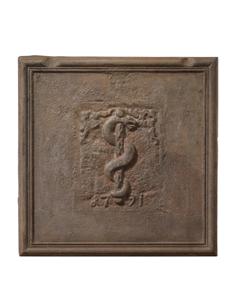 Maison Leon Van den Bogaert Bâton d'Asclépios - plaque de cheminée