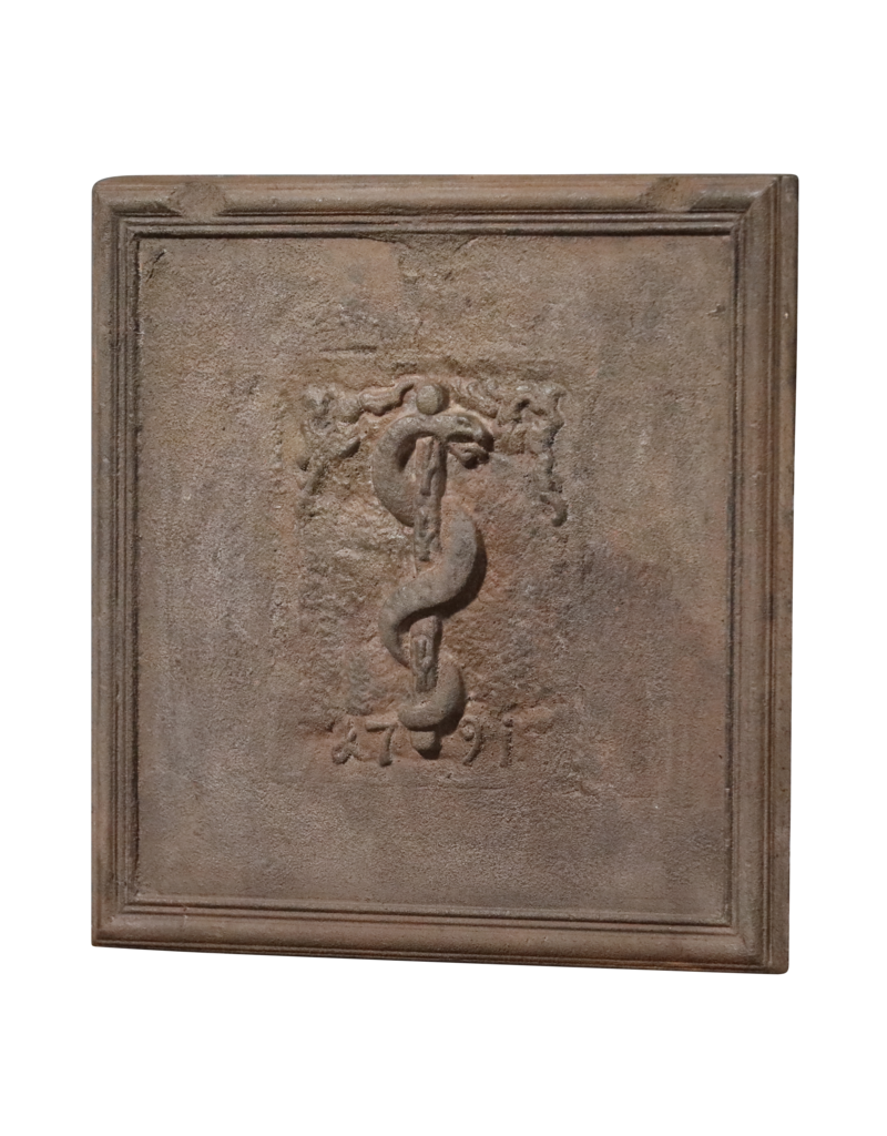 Maison Leon Van den Bogaert Bâton d'Asclépios - plaque de cheminée