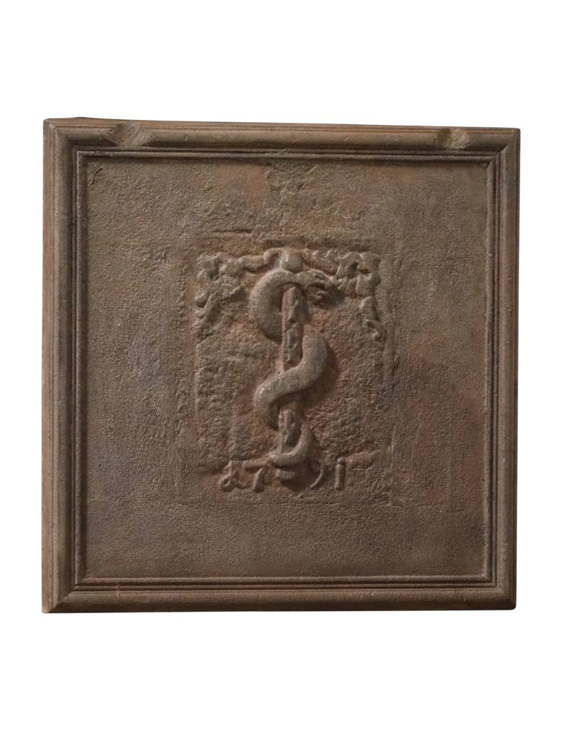 Maison Leon Van den Bogaert Bâton d'Asclépios - plaque de cheminée