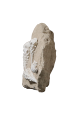 Maison Leon Van den Bogaert Fossil Collection On Limestone
