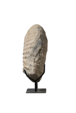 Maison Leon Van den Bogaert Fossile D'Ammonite Particulièrement Grand Sur Un Socle En Acier