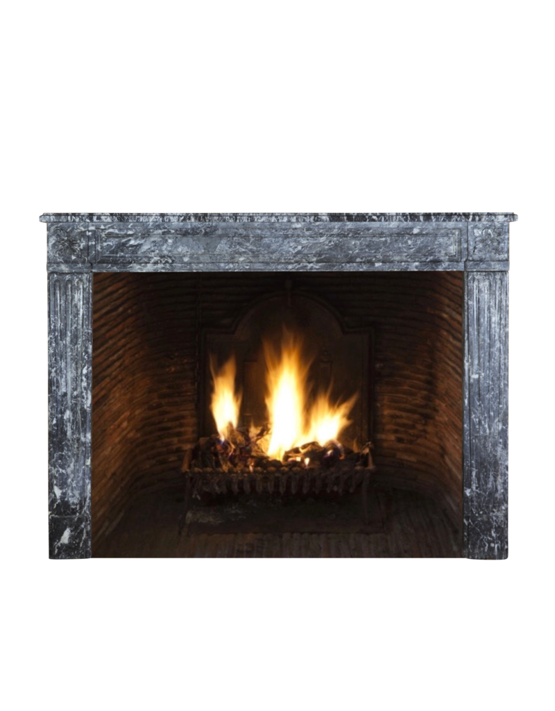 Maison Leon Van den Bogaert Cheminée Ornementale Classique En Marbre Gris Antique