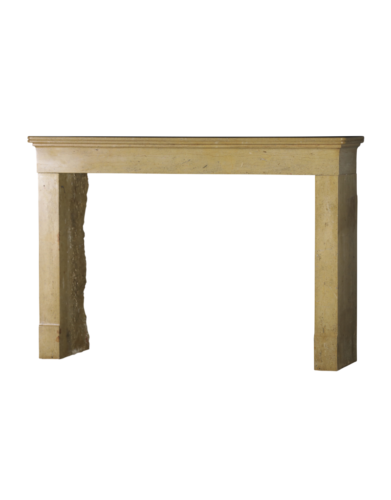 Maison Leon Van den Bogaert Französischer vintage Kamin