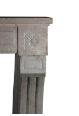 Maison Leon Van den Bogaert Chimenea Rosa