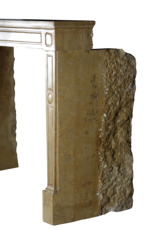 Maison Leon Van den Bogaert Fine Louis XVI Period Stone Fireplace