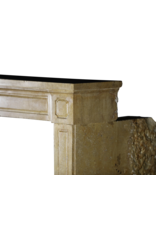 Maison Leon Van den Bogaert Chimenea De Piedra De Época Luis XVI Fina