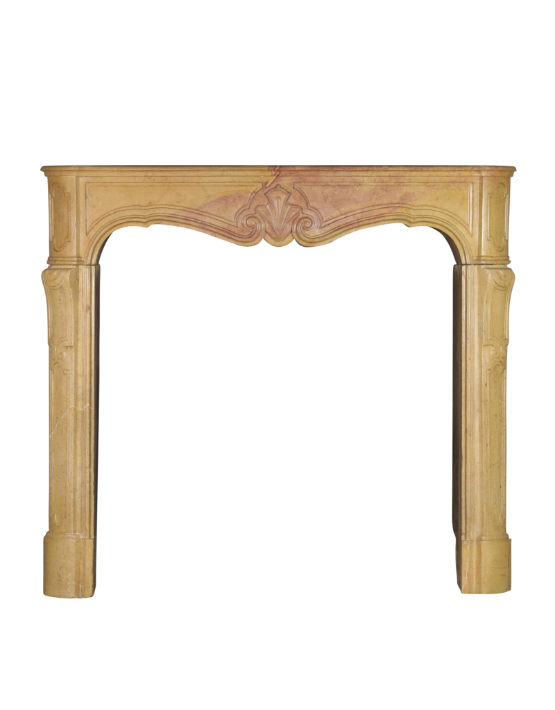 Maison Leon Van den Bogaert Franse Lodewijk XIV Tweekleurige Stenen Haard
