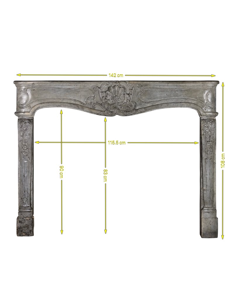 Exclusive French Fireplace Surround