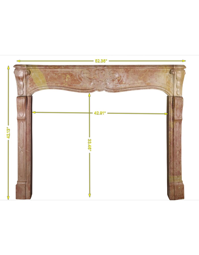 Exclusive French Fireplace Surround